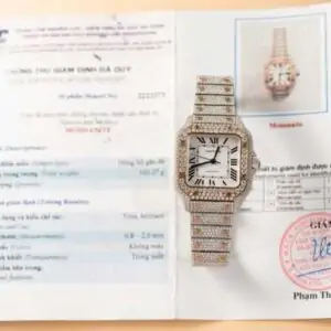 Cartier Santos Replica Watch With Full Diamond Moissanite Hong Kong 35mm